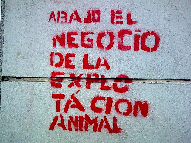 640px-pintada_en_contra_de_la_explotacion_animal_en_cordoba_argentina_2010-01-22